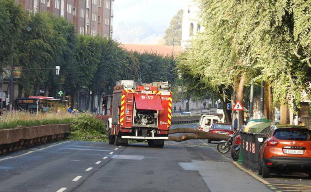 La Ca Da De Un Rbol Provoca El Corte De Lehendakari Agirre En Deusto